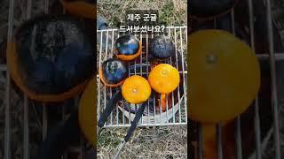 제주도민 6년 차, 군귤 드셔보셨나요?귤 이렇게 구워 먹으면 진짜 맛있답니당^^