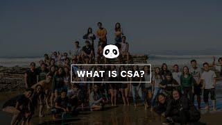 What is CSA 2020