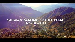 Sierra Madre Occidental | Durango, México | 4K