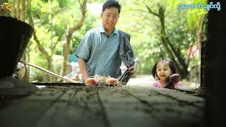 ကြက်ဥကောက်