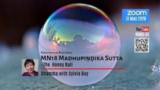 2020.0531 | MN18 Madhupiṇḍika Sutta (The Honey Ball) [with Annotations] | Sylvia Bay