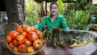 ''Malabar grouper fish'' - Have you ever cooked this ocean fish before? - Countryside life TV