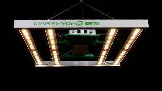 MARS HYDRO FC3000 Samsung EVO LED grow light review