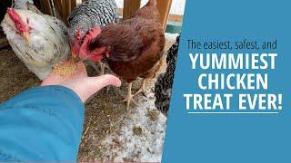 The easiest, safest, yummiest chicken treat ever!