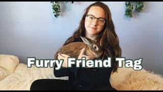 Furry Friend Tag || Meet My Rabbit