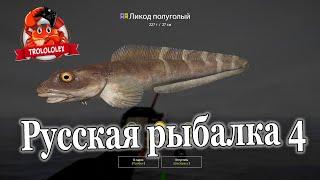Русская рыбалка 4 в поисках редких видов