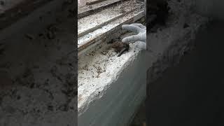 Монтаж окон в Арт-Квартале