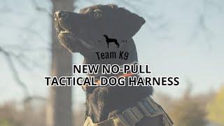 This Tactical Dog Harness Is A GAME-CHANGER...