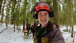 DEEP SNOW LOGGING w/ DRAFT HORSES #794