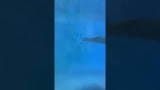 Как плавать, если болит спина и шея? #shorts #Школаплавания #MY_WATER #бассейн #плавание