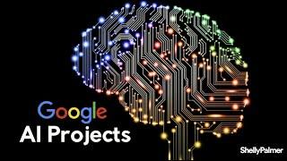 AI Bias Explained by Google at the Shelly Palmer Innovation Series Summit at CES 2020