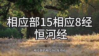 173.相应部15相应8经 恒河经（白话佛经）解说