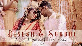 Wedding Highlight 2024 ll Dinash & Surbhi ll The Wedding Story Filmer