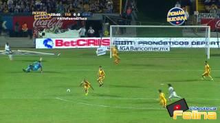 Tigres vs Queretaro 1-0 Jornada 15 Apertura 2014 Liga Mx HD - RESUMEN GOLES