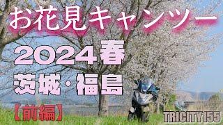 【トリシティ155】2024春　茨城・福島お花見キャンツー　〜前編〜