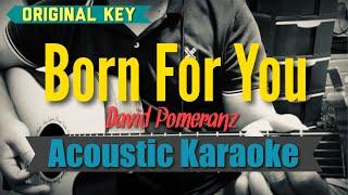 Born For You - David Pomeranz (Acoustic Karaoke)