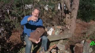 Build a Bird House from a Log.