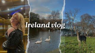 Wholesome week in Ireland  | Lots of animals, people, drink and tea|