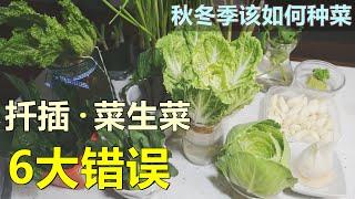 【再生蔬菜/扦插种植】的6大错误（种菜技巧） 6 mistakes of vegetables regrow/cutting planting