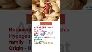 groundnut and botanical name #agriculture #viral #shorts