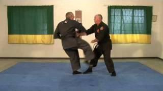 Genbukan Ninpo - South Africa - Tai-Jutsu demonstration