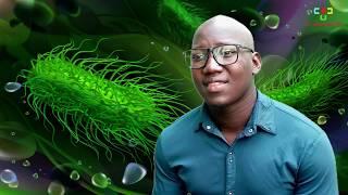 Amazing facts about Typhoid fever explained (symptoms, tests, diagnosis and treatment)
