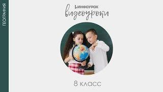 Животноводство | География 8 класс #38 | Инфоурок