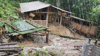 Heavy rain and big storms come to Robert's farm. Robert | Green forest life ( ep199)