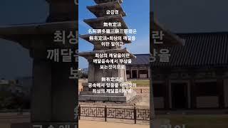 금강경에서 최상의 깨달음이란?  #shorts #불교