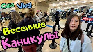 США VLOG ВЕСЕННИЕ КАНИКУЛЫ️