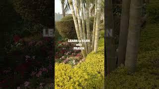 #nature #learntoearnwithpravin #naturelovers