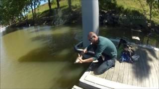 pesca aos barbos e lucio-perca com minhoca ao fundo...fishing barbel and zander with earthworms