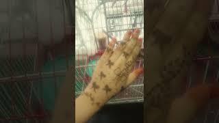 Mehedi digain #astatic #nature #mehndi