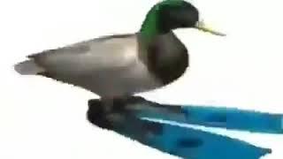 Duck Spinning with Geometry Dash practice mode song