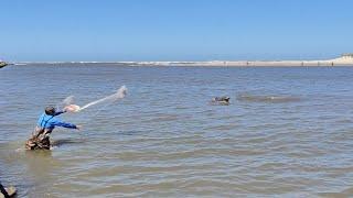 Pescas de tarrafas, 21-10-24, Pesqueiro do Bueiro, Imbé, RS. #pescadetarrafa #mulletfishing #tainhas