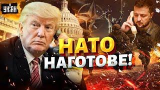 СЕЙЧАС! Трамп ПОЗВОНИЛ Зеленскому. Спецназ НАТО готов к ОТПРАВКЕ в Украину: СРОЧНОЕ ЗАЯВЛЕНИЕ