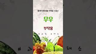 ‼️1분 만에 무우의 부작용에 대해 알아보자‼️..#무 #무효능 #무부작용 #김장 #김장무 #채소고르는꿀팁 #채소추천 #청과 #팔로우 #좋아요 #꿀팁 #유익 #건강 #건강식