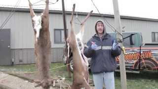 How to Skin / cape a deer and prepare it for a shoulder mount cape for your taxidermist Episode #3