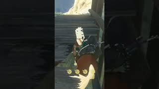 The horse autopilot in the new Zelda is really good