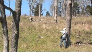 Raising Kiko Goats at Lookout Point Ranch