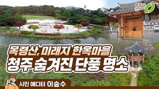 꿀잼청주 가볼만한 곳 가을이 물든 지금이 더 예쁘다 여기가 그렇다