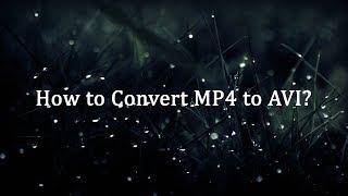 How to Convert MP4 to AVI?