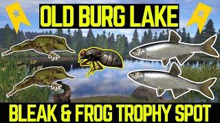 Russian Fishing 4 Active TROPHY Bleak & Frog Spot (Old Burg lake)