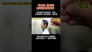 두부의 혈자리 - 솔곡혈(率谷穴) [지압신공]