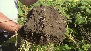 Soil Health and Soil Health Institute Featured on American Farmer TV Series