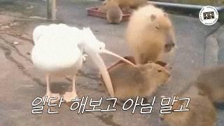 playlist. 일단 해보고 아님 말고ㅎ