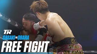 Jin Sasaki TKOs Keita Obara In Three Rounds | FREE FIGHT