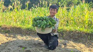 Poor boy - Orphan's gardening from hoeing to growing vegetables - Living alone since childhood