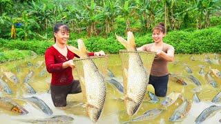 Harvesting A Lot Of Big Fish Goes To The Market Sell - Take Care Vegetable