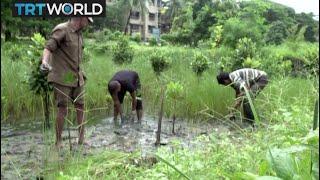 Climate Crisis: Rising sea levels spark fear in Mumbai